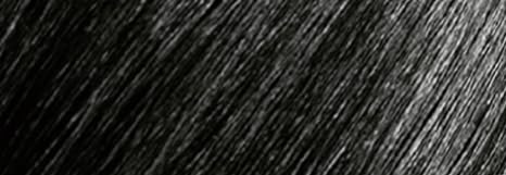 Nishman Hair Building Keratin Fiber Black
